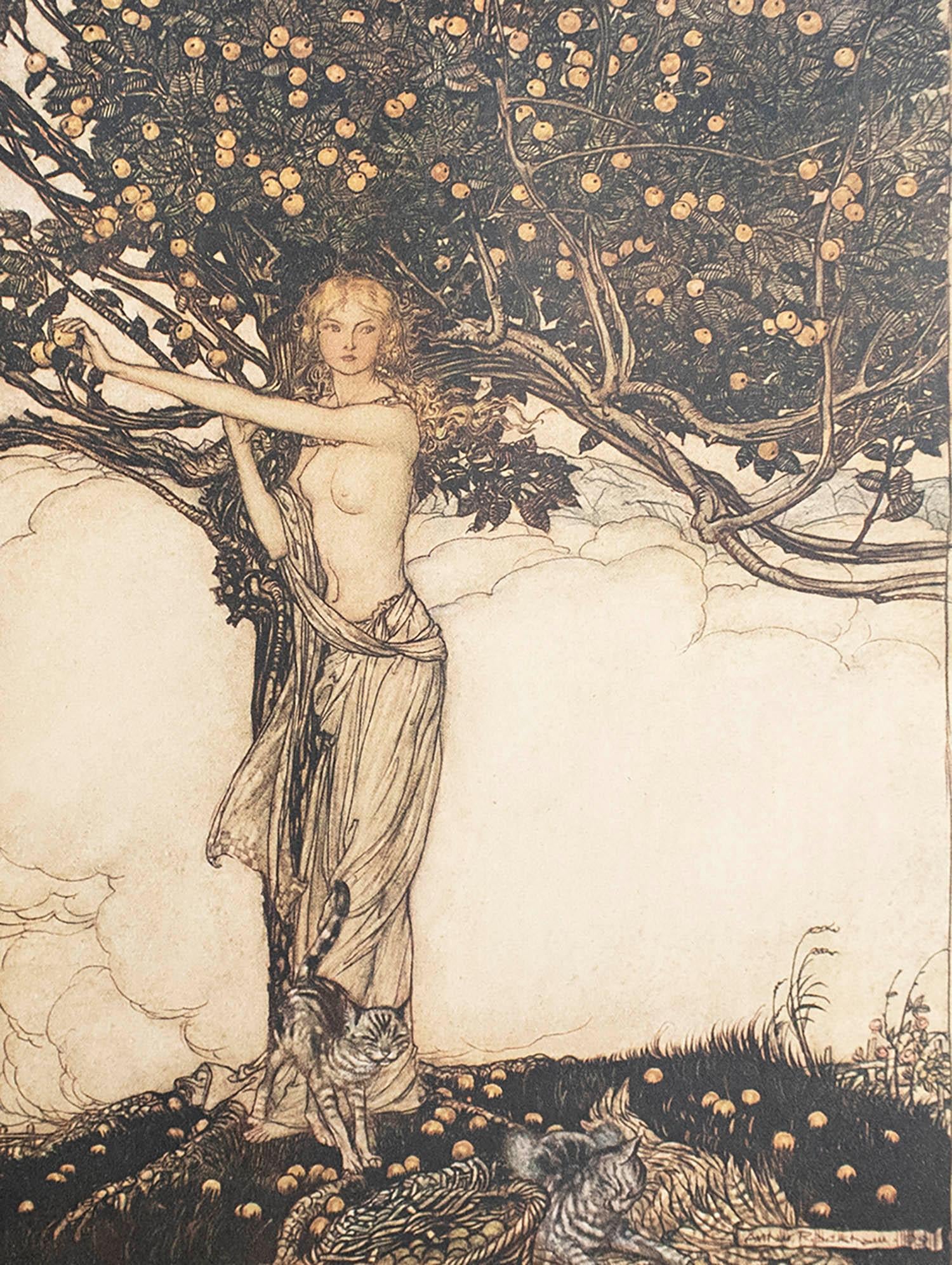 Original Vintage Print by Arthur Rackham, 1910. For Sale at 1stDibs