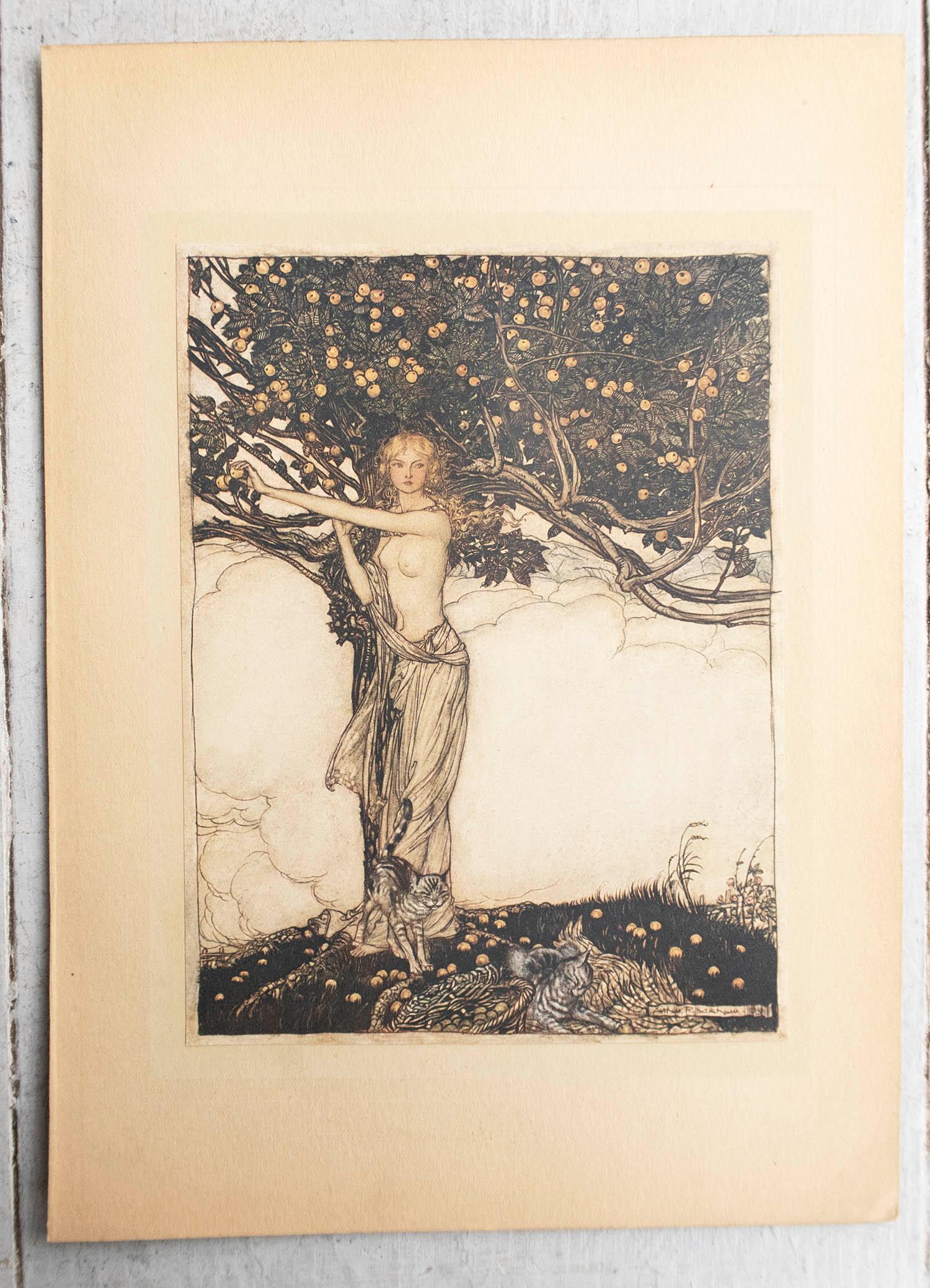 Original Vintage Print by Arthur Rackham, 1910. For Sale at 1stDibs