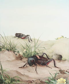 Original Vintage Print of A Field Cricket By E.J Detmold. C.1920