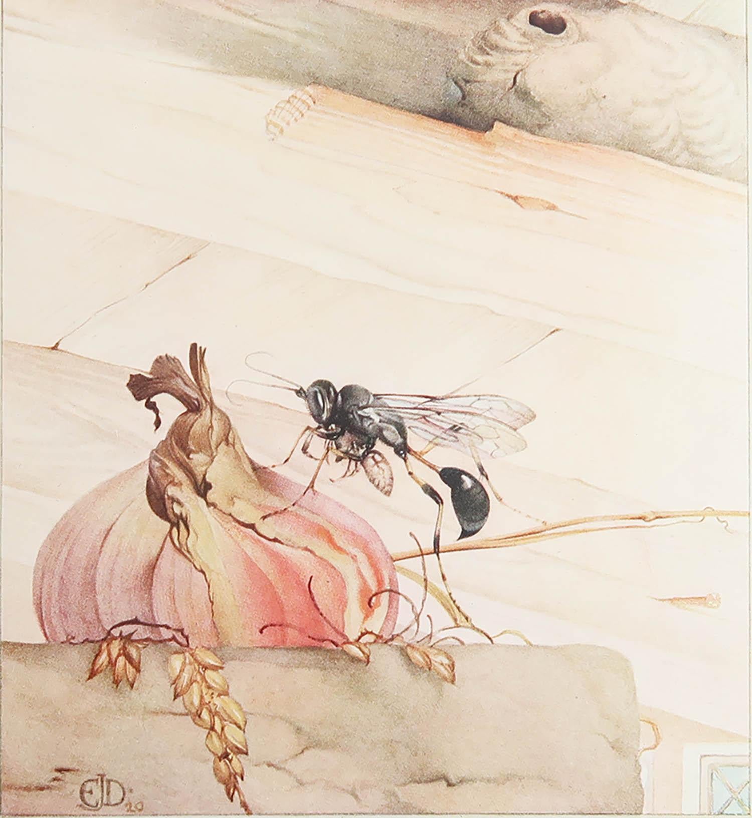 Magnifique image de E.J. Detmold

Plaque de couverture incluse dans le texte. Sur papier

Lithographie. 

Publié A.C.C.

La mesure indiquée correspond à la taille du papier et non à l'image imprimée.

