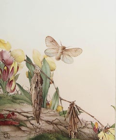 Stampa originale d'epoca di una farfalla Psiche di E.J Detmold. C.1920