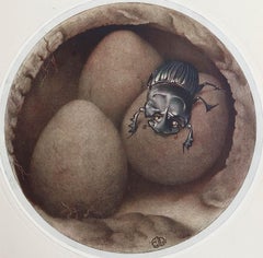 Original Vintage Print of a Spanish Copris / beetle By E.J Detmold. C.1920