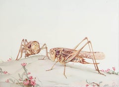Original Vintage Print of a White-faced Bush-cricket By E.J Detmold. C.1920