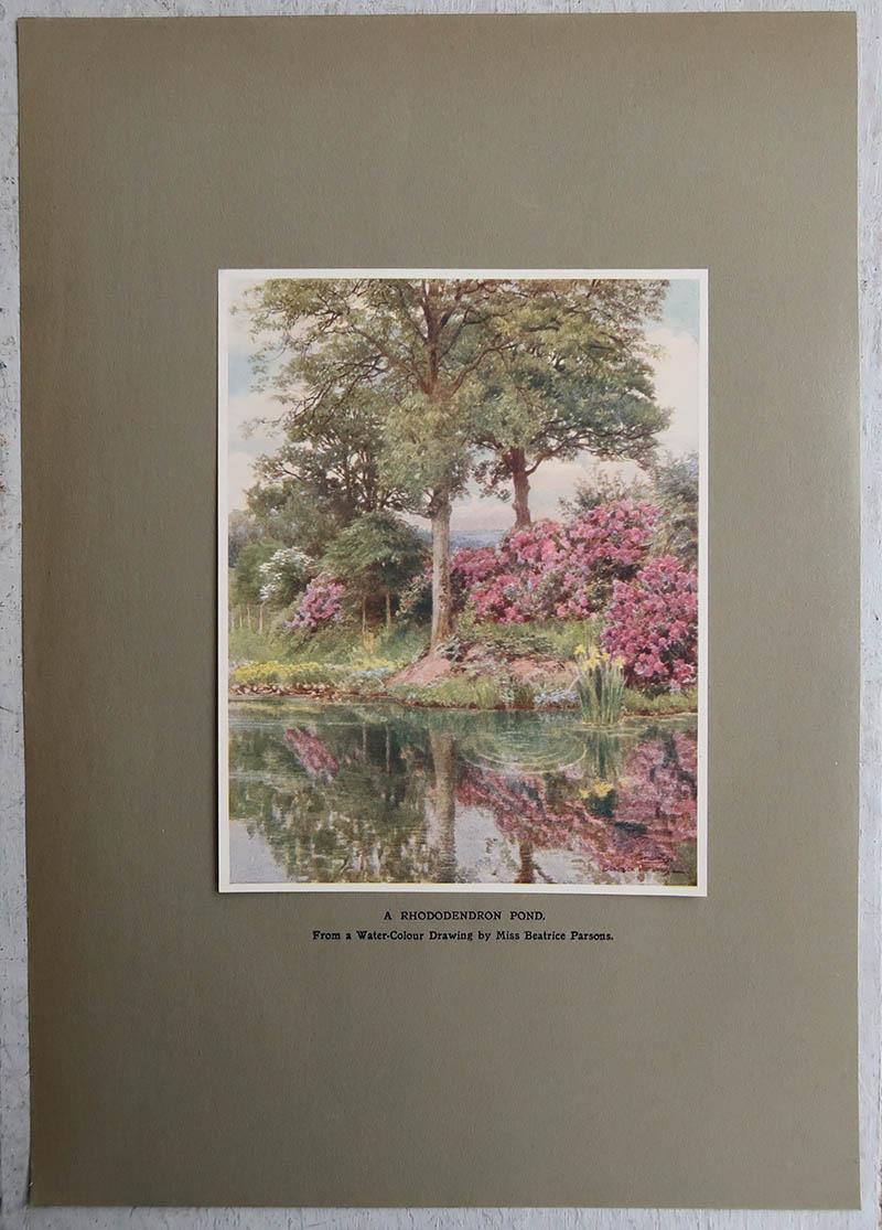 Britannique Gravure originale d'époque d'un jardin de campagne anglais d'après Beatrice Parsons en vente