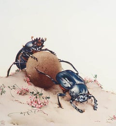 Original Vintage Print of Beetles By E.J Detmold. C.1920