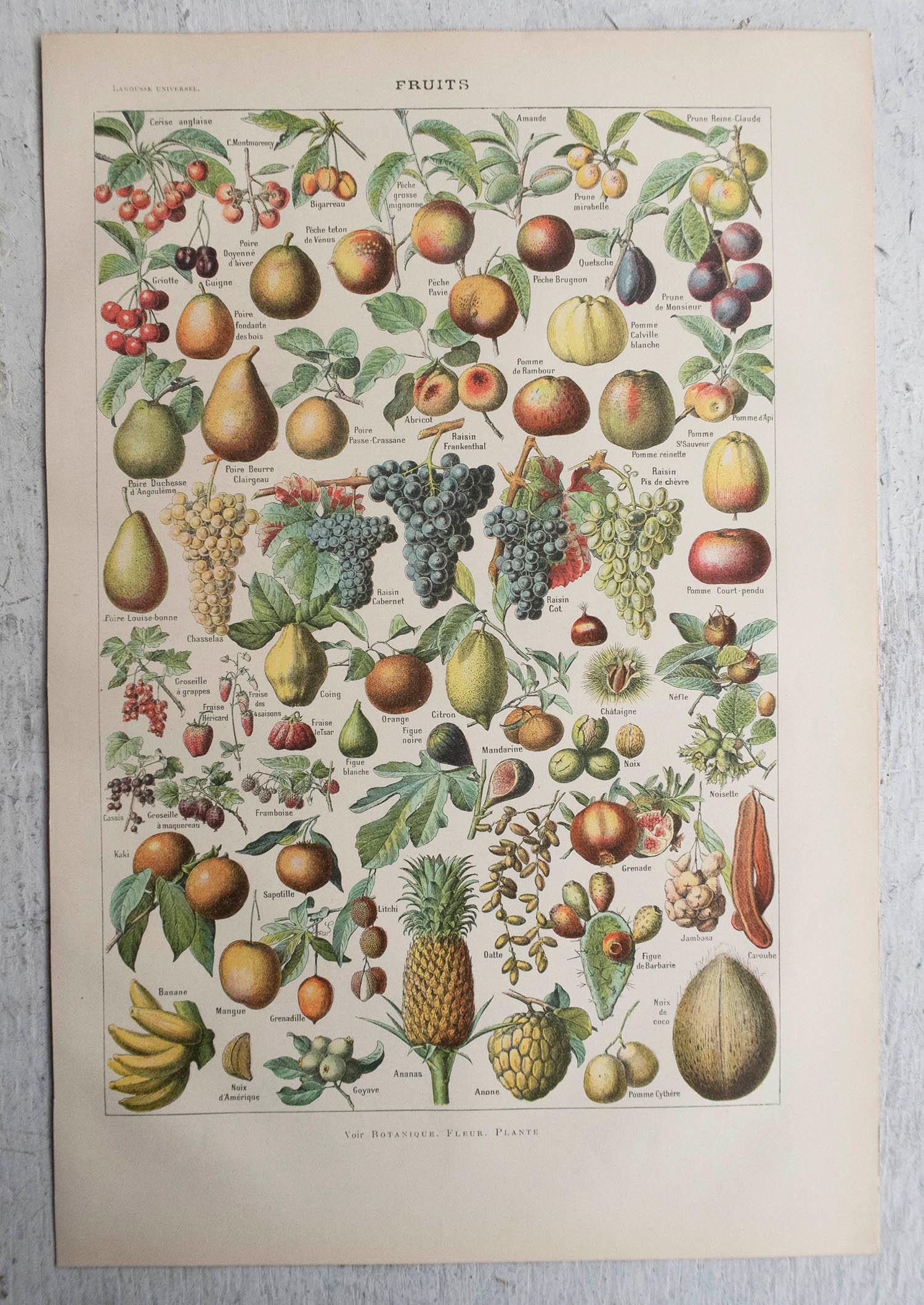 Folk Art Original Vintage Print of Fruits. French, C.1920