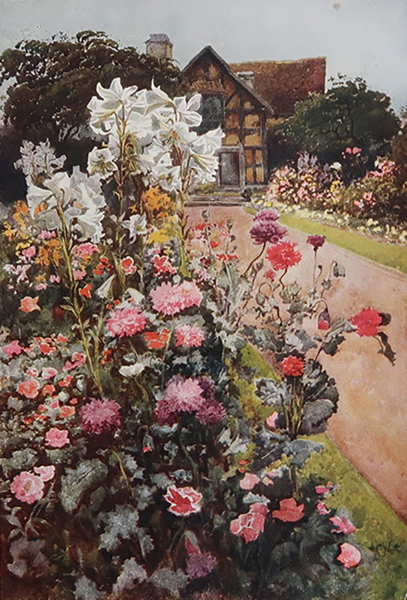 Original Vintage Print of Shakespeare's Garden After A.C. Wyatt. C.1920