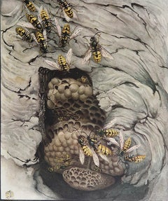 Original Vintage Print of Wasps By E.J Detmold. C.1920
