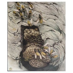 Original Vintage Print of Wasps By E.J Detmold. C.1920