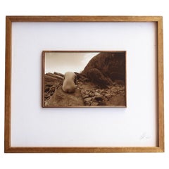 Photographie vintage originale signée d'un nu féminin. Édition limitée à 45 exemplaires