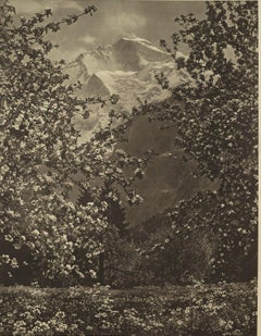 Póster de viaje suizo vintage original, Interlaken, montañas y esquí, 1950