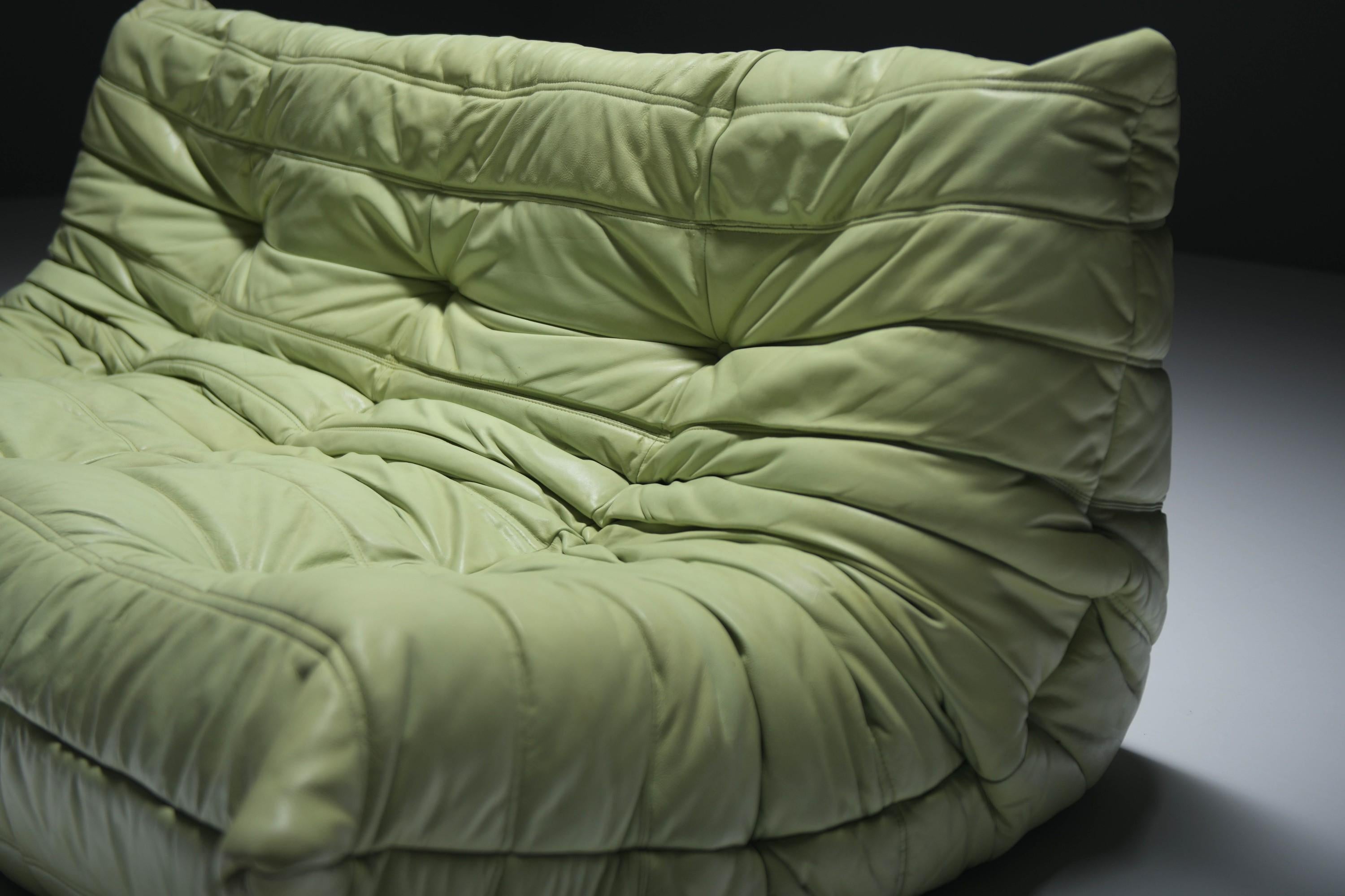Original vintage Togo from 1978 in mint green by Michel Ducaroy for Ligne Roset. 5