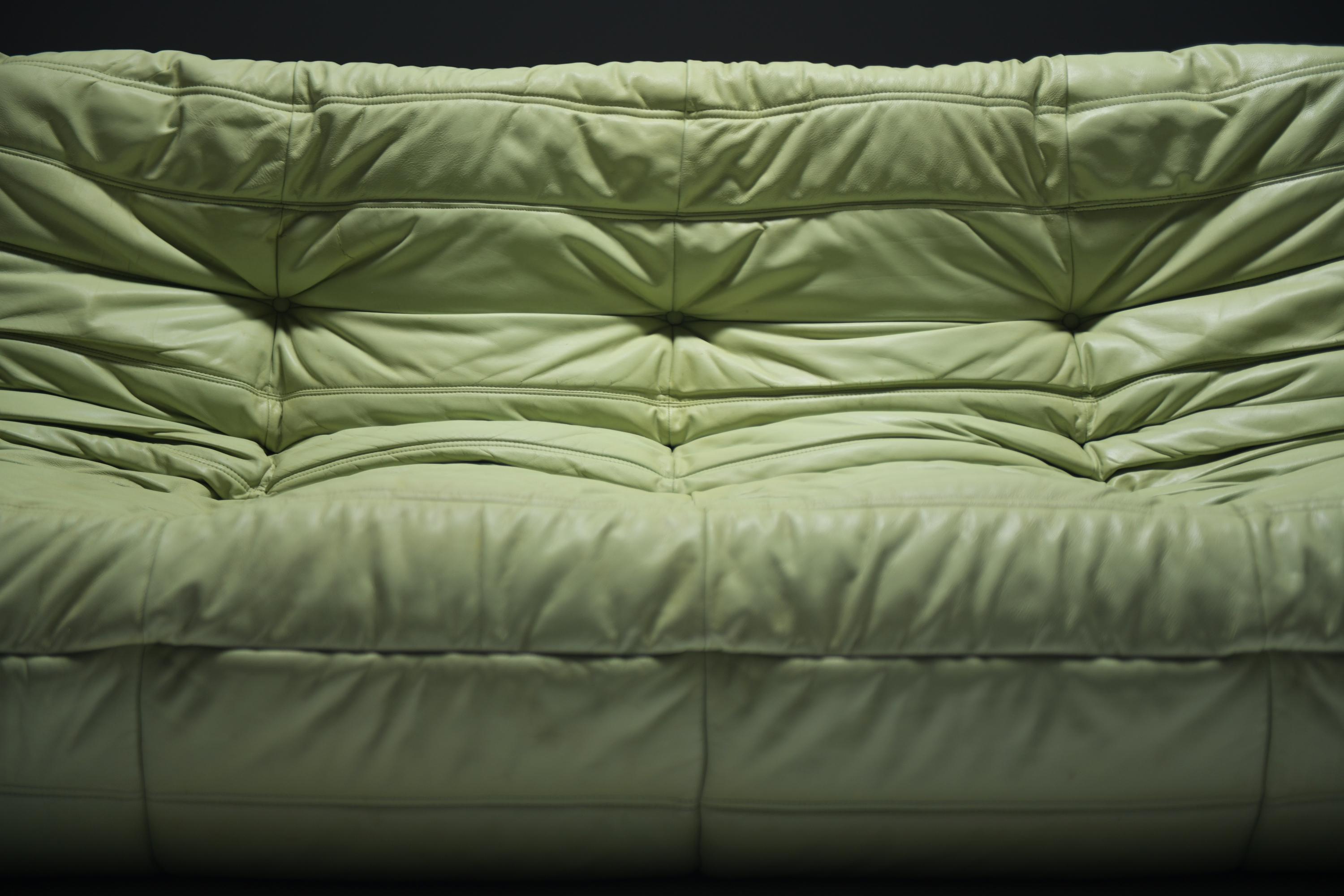Original vintage Togo from 1978 in mint green by Michel Ducaroy for Ligne Roset. 6