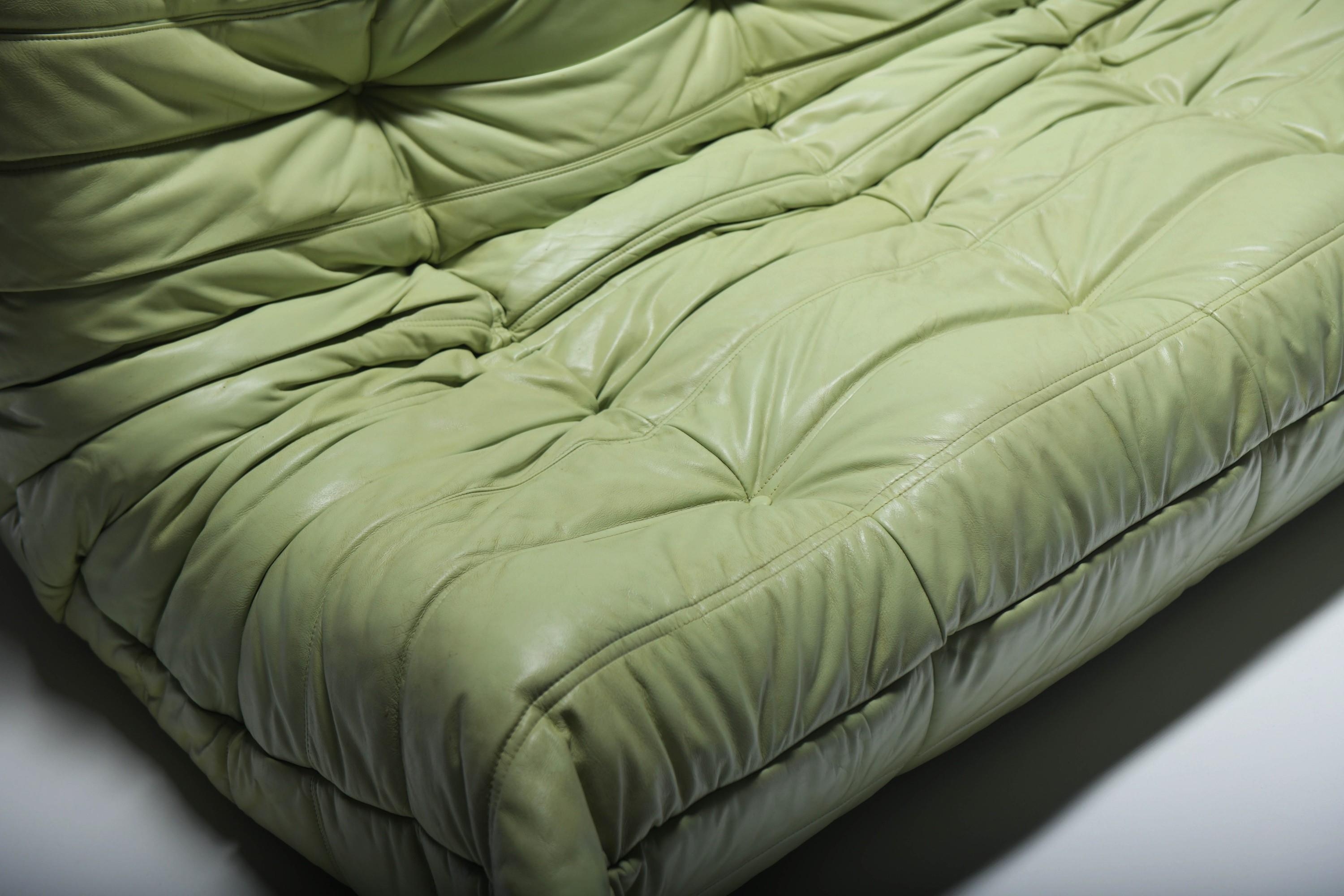 Original vintage Togo from 1978 in mint green by Michel Ducaroy for Ligne Roset. 7