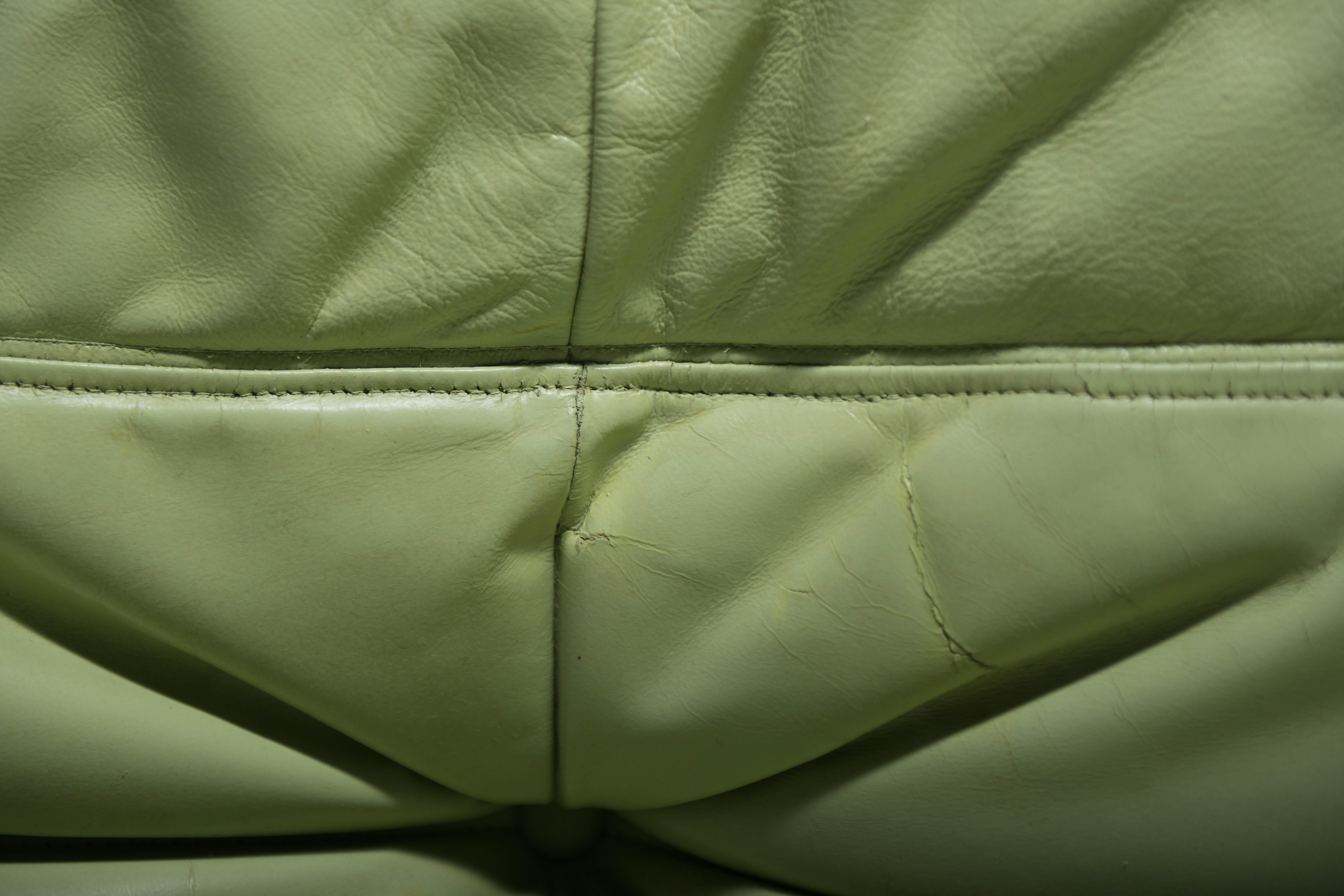 Original vintage Togo from 1978 in mint green by Michel Ducaroy for Ligne Roset. 13