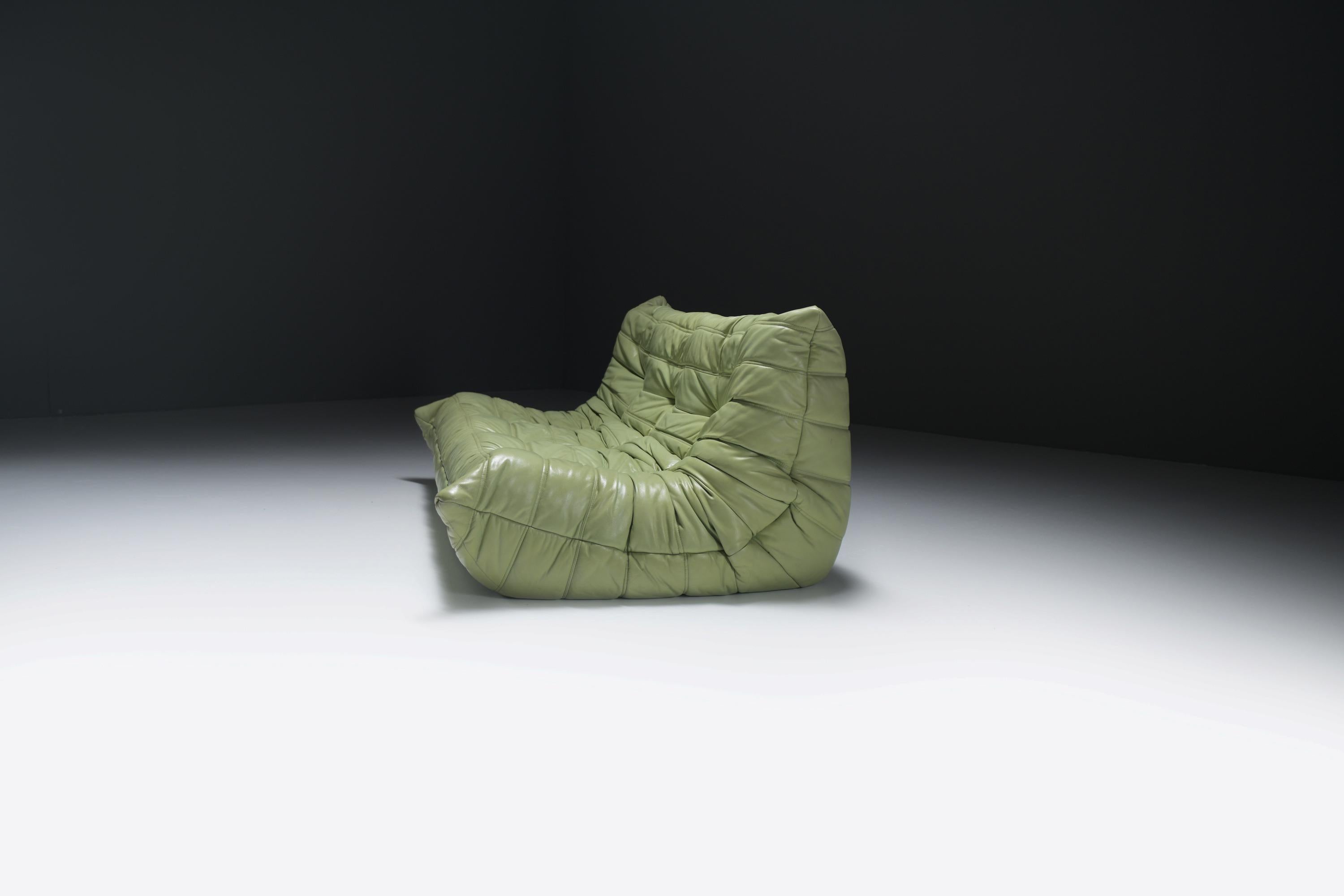 French Original vintage Togo from 1978 in mint green by Michel Ducaroy for Ligne Roset.