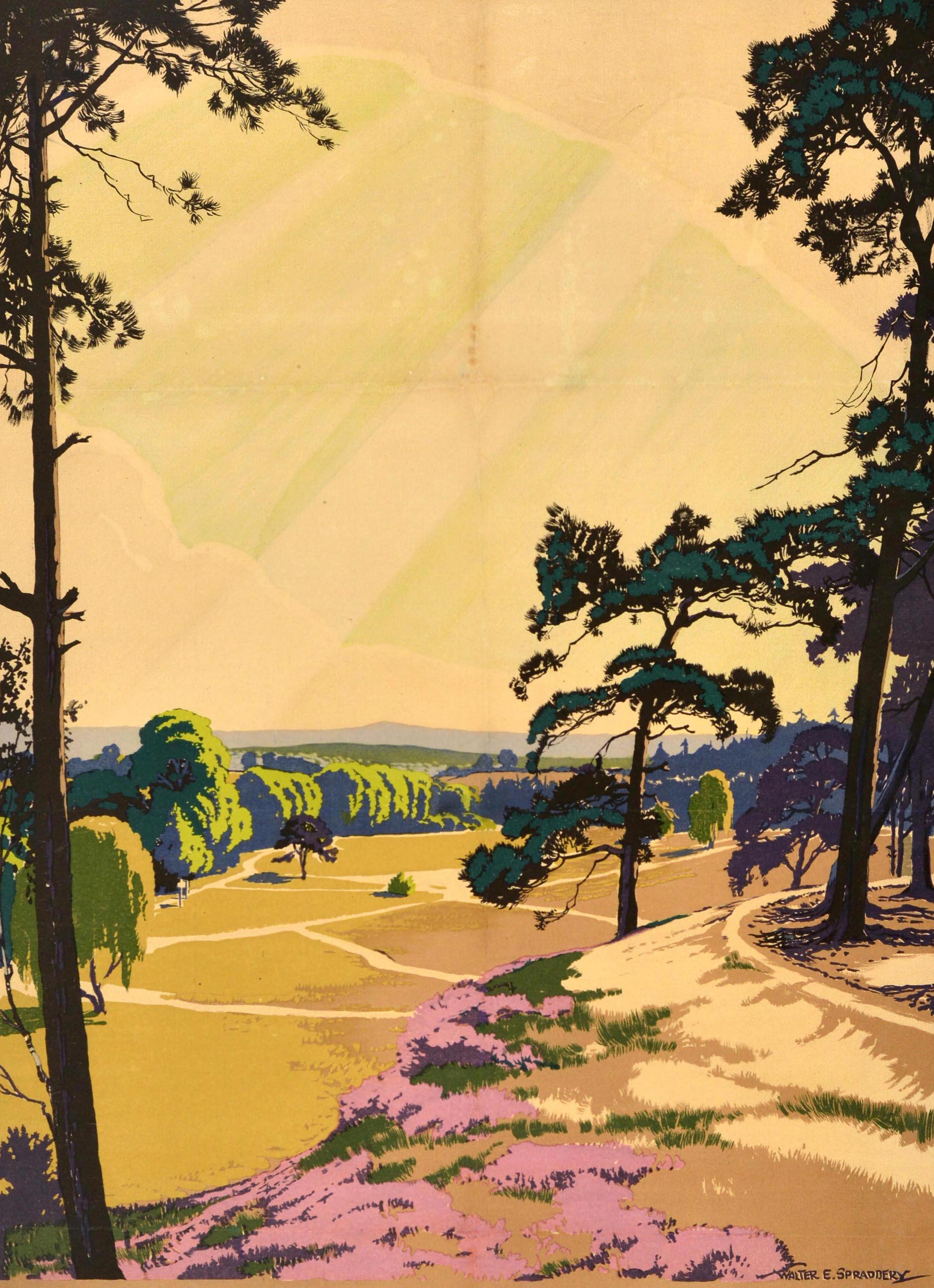 Original vintage travel advertising poster for Southern Electric featuring a scenic view by Walter E. Spradbery (1889-1969) of a peaceful Surrey landscape with paths through trees and fields, colourful heather flowers growing on the hill in the