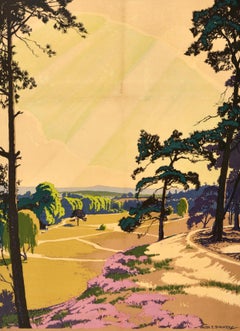 Original Vintage Train Travel Poster Southern Electric Railway Oxshott Surrey