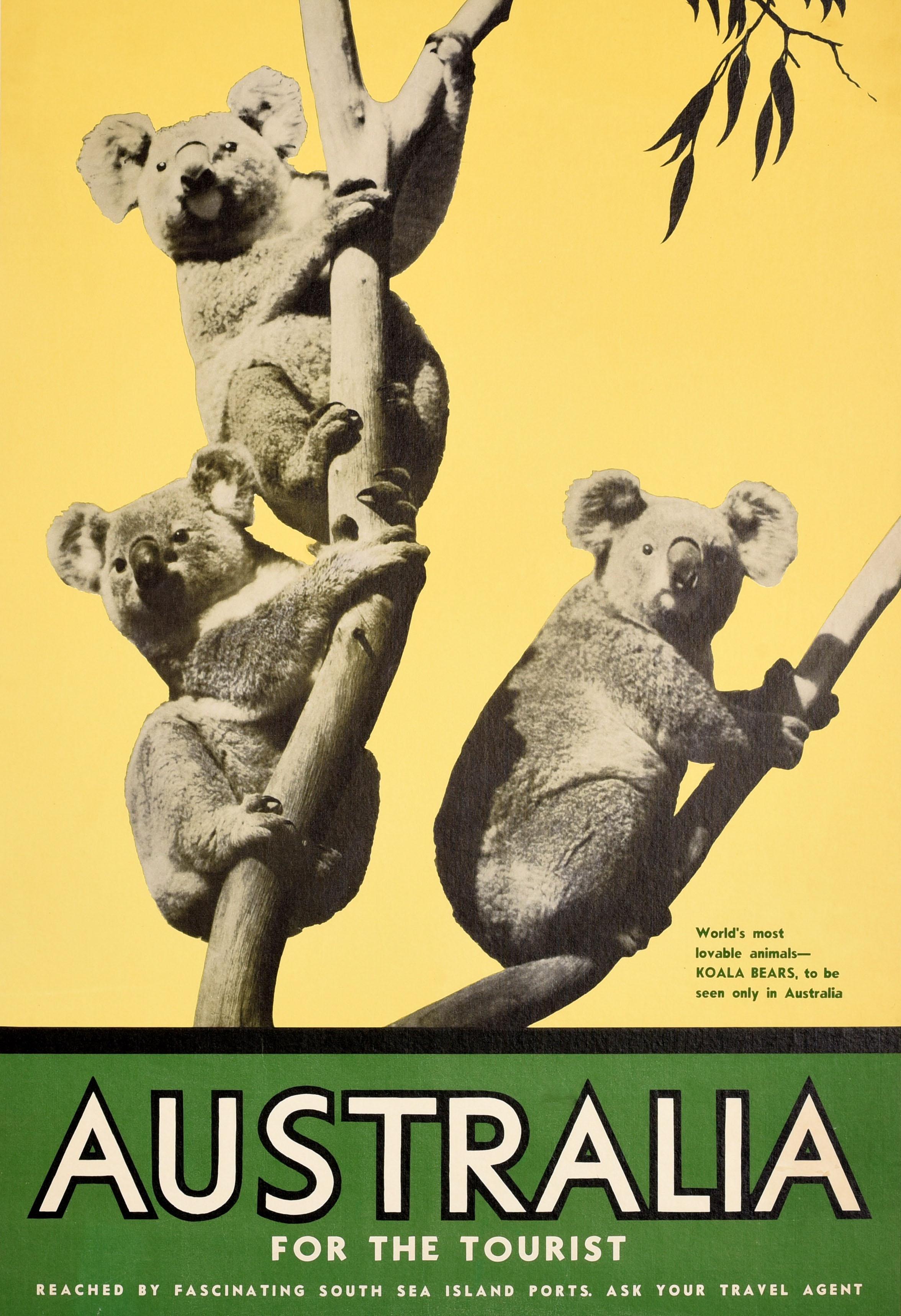 Original Vintage Reiseplakat - Australia For The Tourist - mit einer großen Foto-Collage Design zeigt drei Koalas sitzen auf den Zweigen eines Eukalyptus-Baum mit Eukalyptus-Blätter oben, auf einem gelben Hintergrund mit dem Titel auf einem grünen