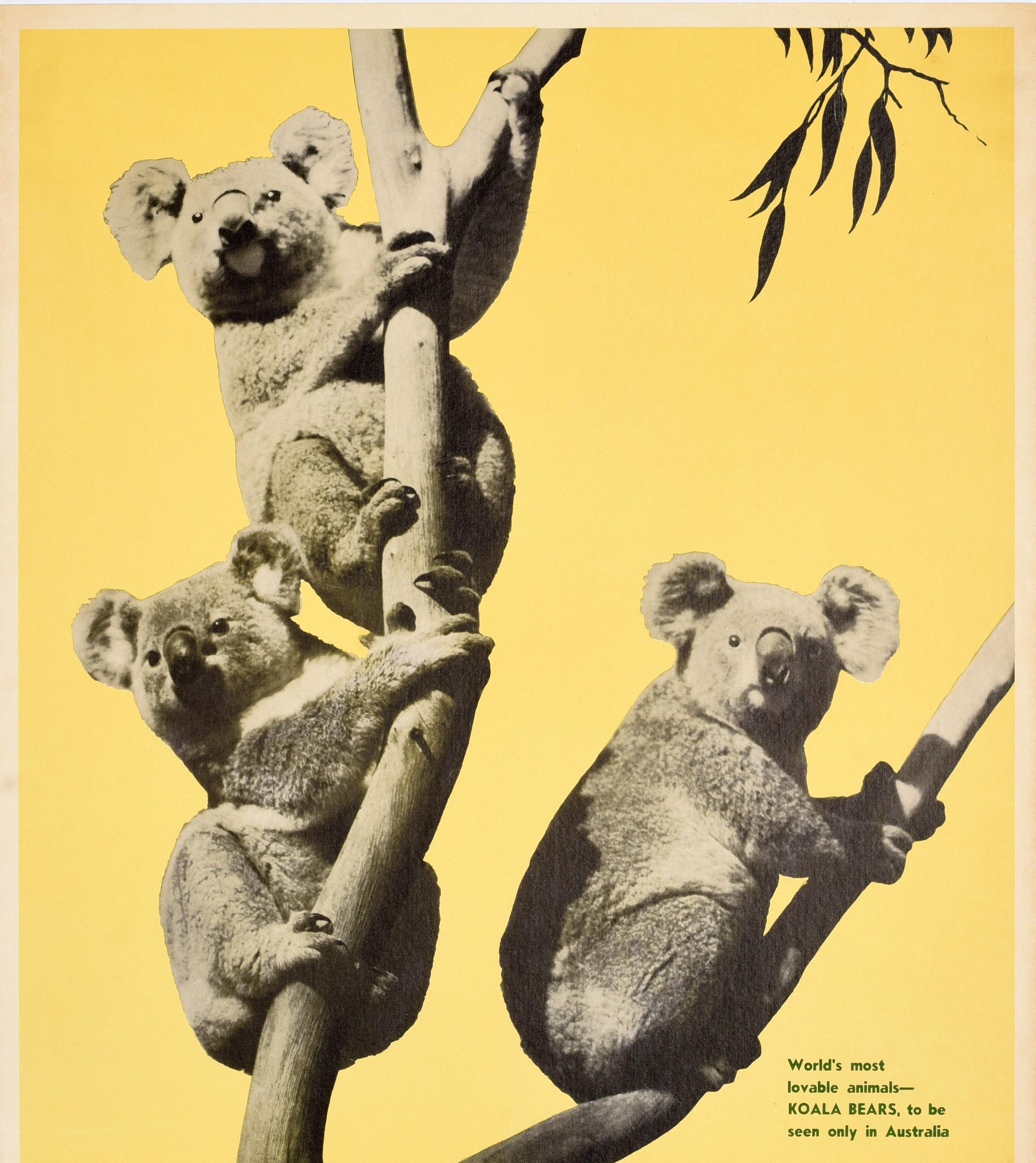 Original Vintage-Reiseplakat, Australien, Koalabären, Eucalyptus, Touristen, Ozean, Ozean (Australisch) im Angebot