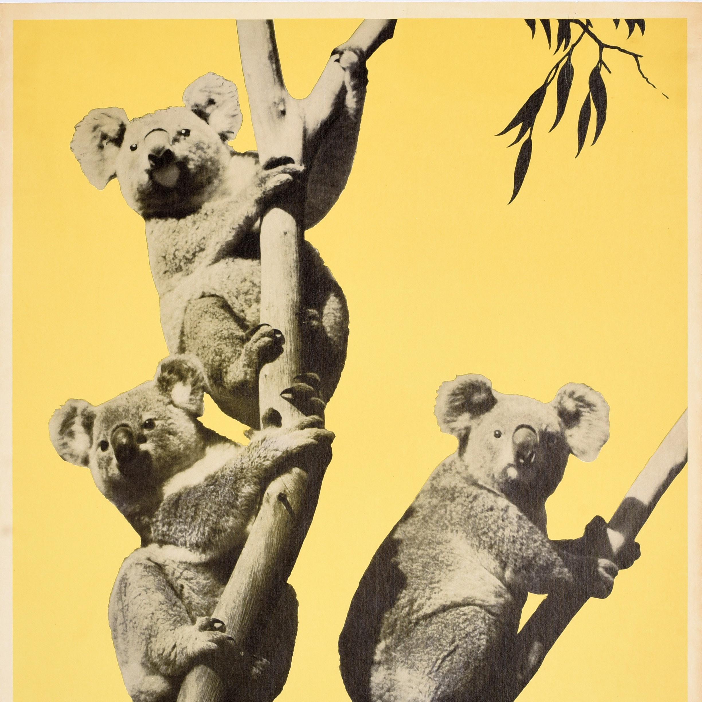 Original Vintage-Reiseplakat, Australien, Koalabären, Eucalyptus, Touristen, Ozean, Ozean im Zustand „Gut“ im Angebot in London, GB