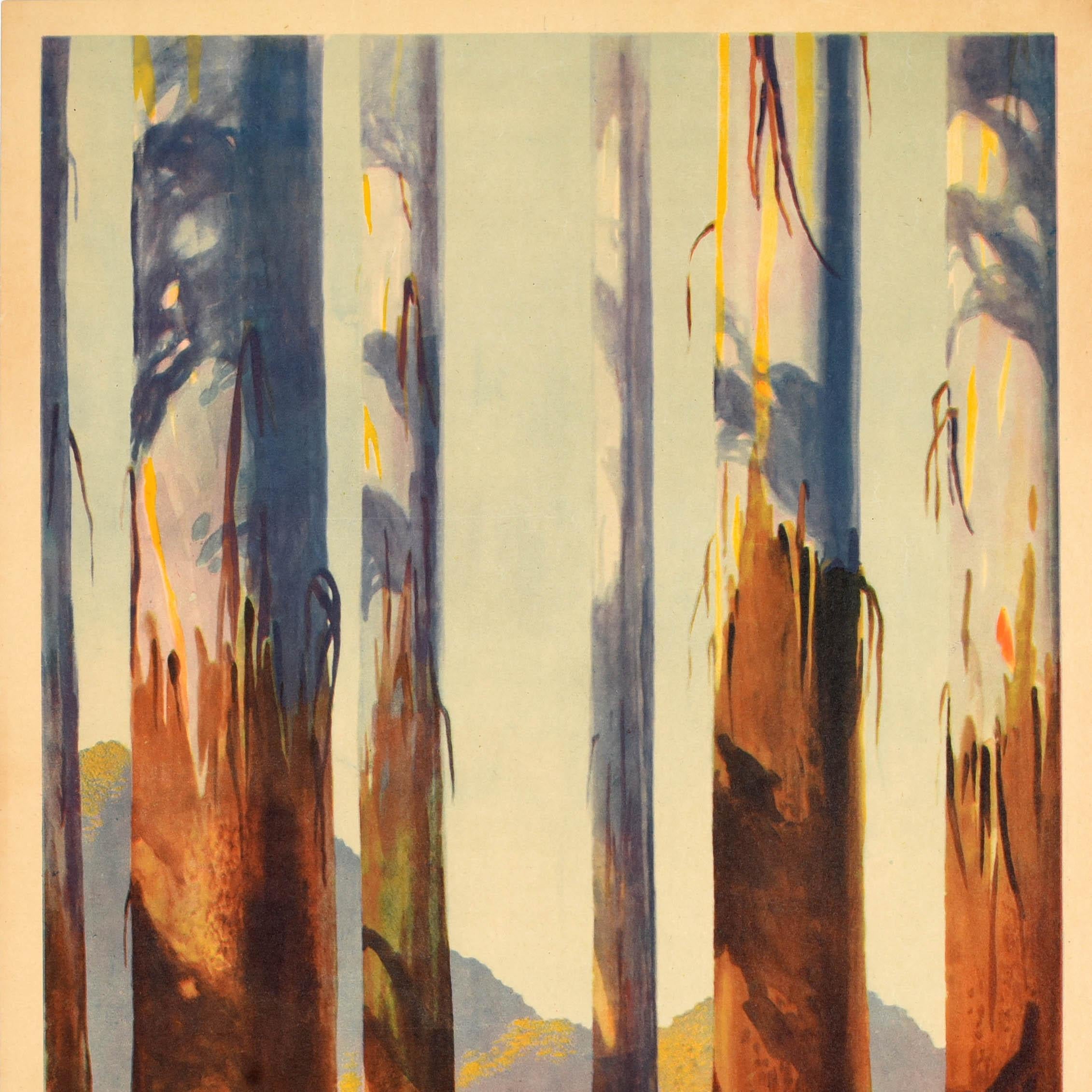 Art déco Affiche de voyage originale d'Australie des plus grands arbres de l'Empire britannique à Marysville en vente