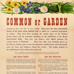 Original Vintage Travel Poster Common Or Garden Flowers London Transport Tatum