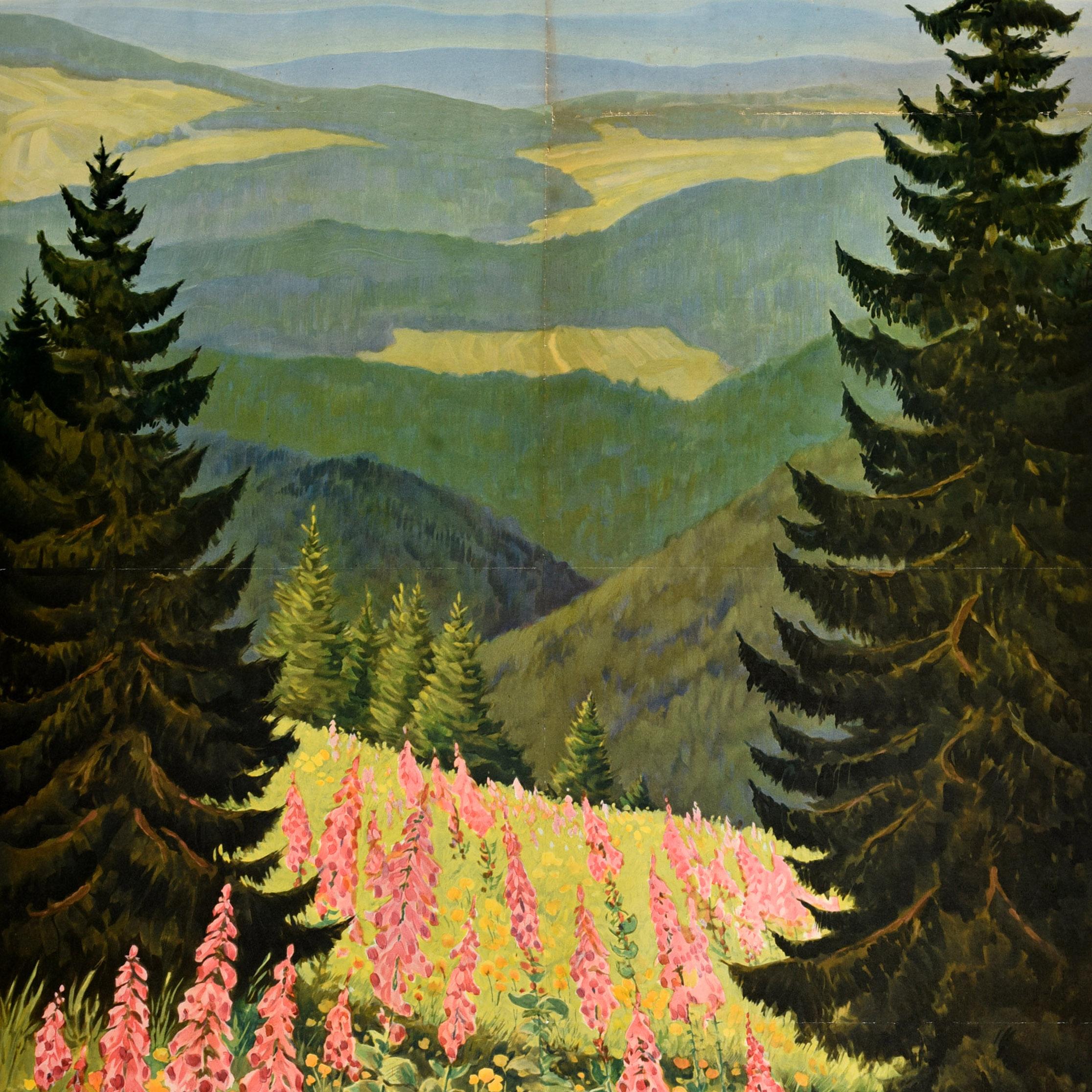 Original Vintage Travel Poster Summer Germany Sommertage Deutschland Frommhold (Papier) im Angebot