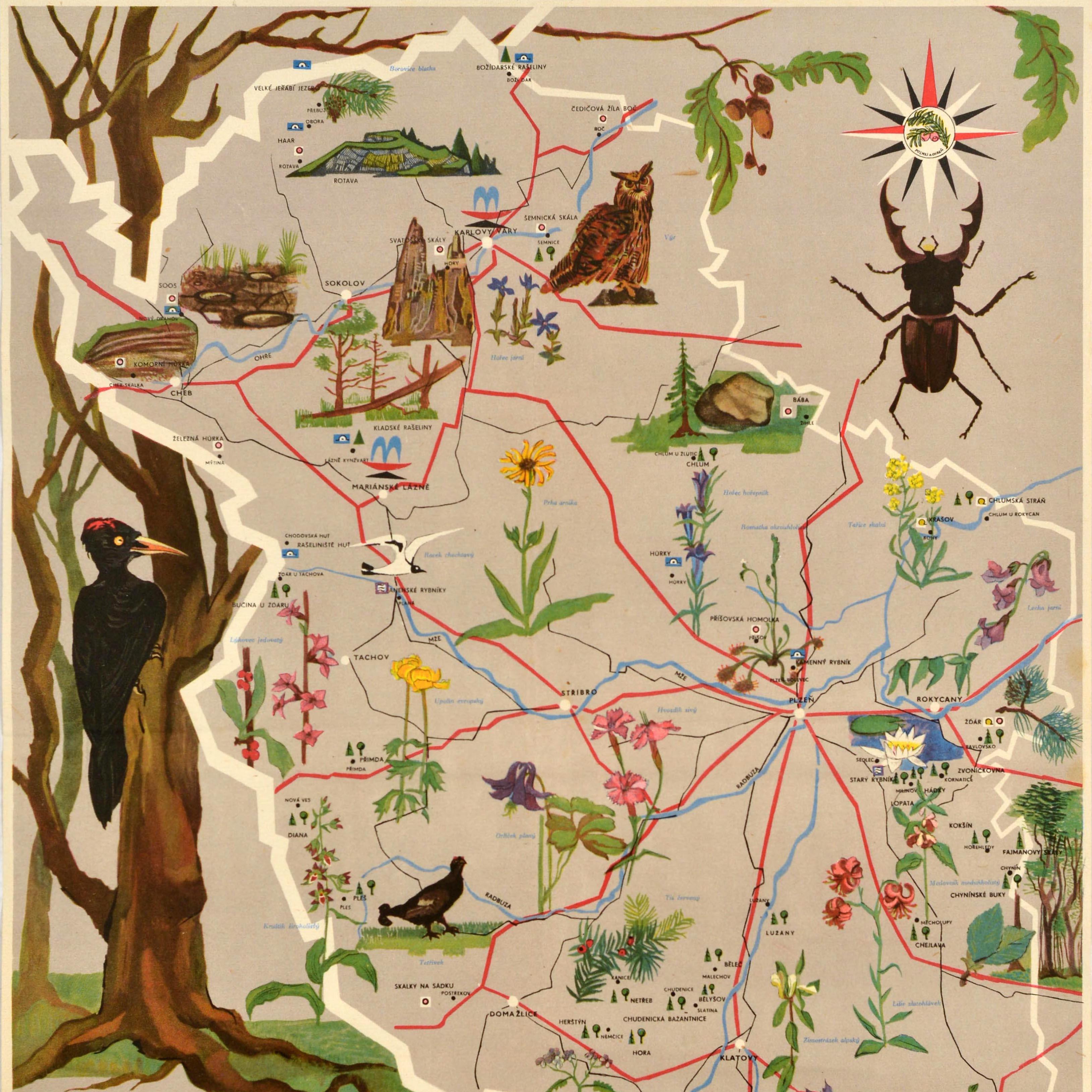 Affiche de voyage vintage originale pour la Réserve naturelle de la région de Bohême occidentale / Zapadocesky Kraj Prirodni Rezervace comprenant une carte illustrée de la région montrant diverses espèces de flore et de faune, y compris différents