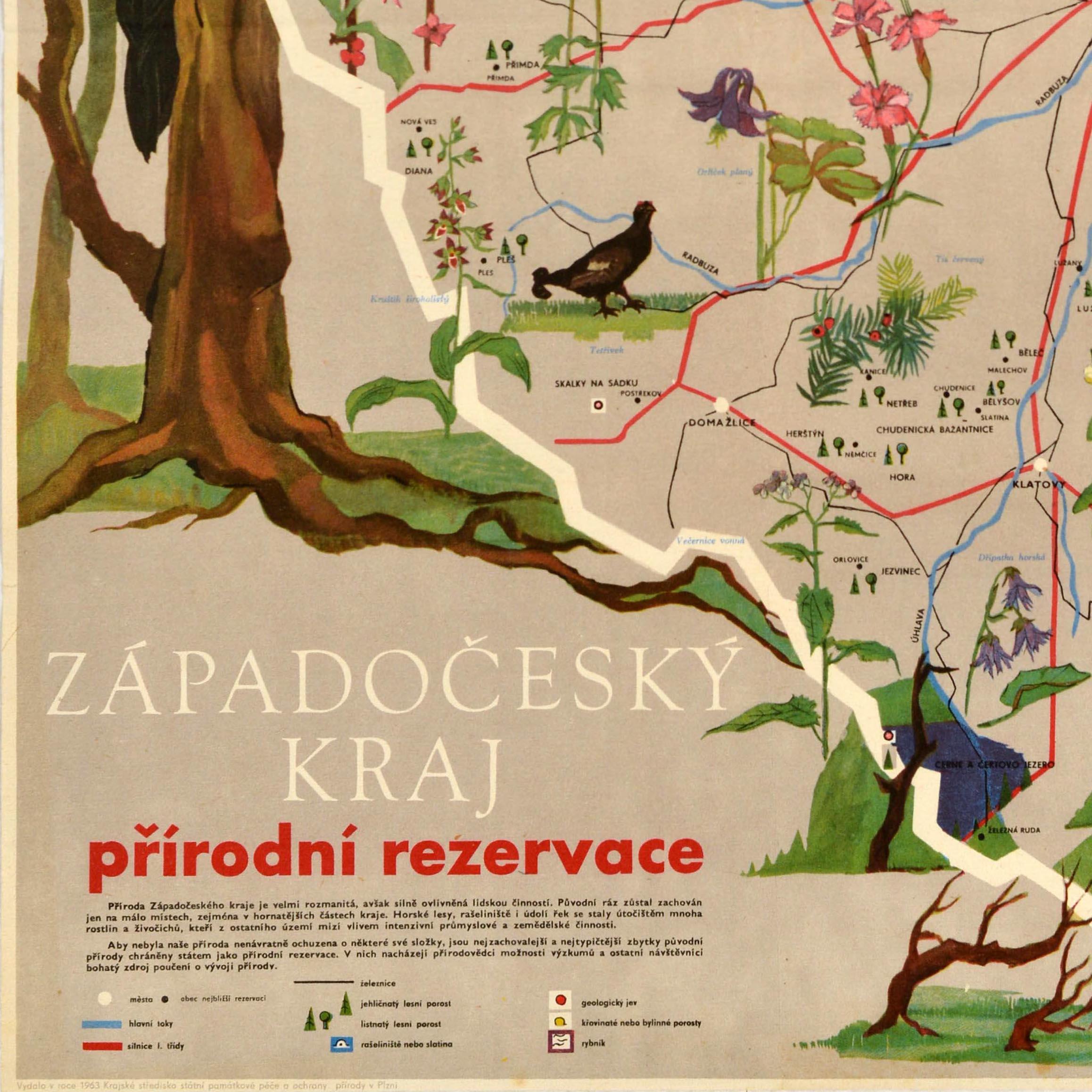 Mid-20th Century Original Vintage Travel Poster West Bohemian Region Nature Reserve Czech Park For Sale