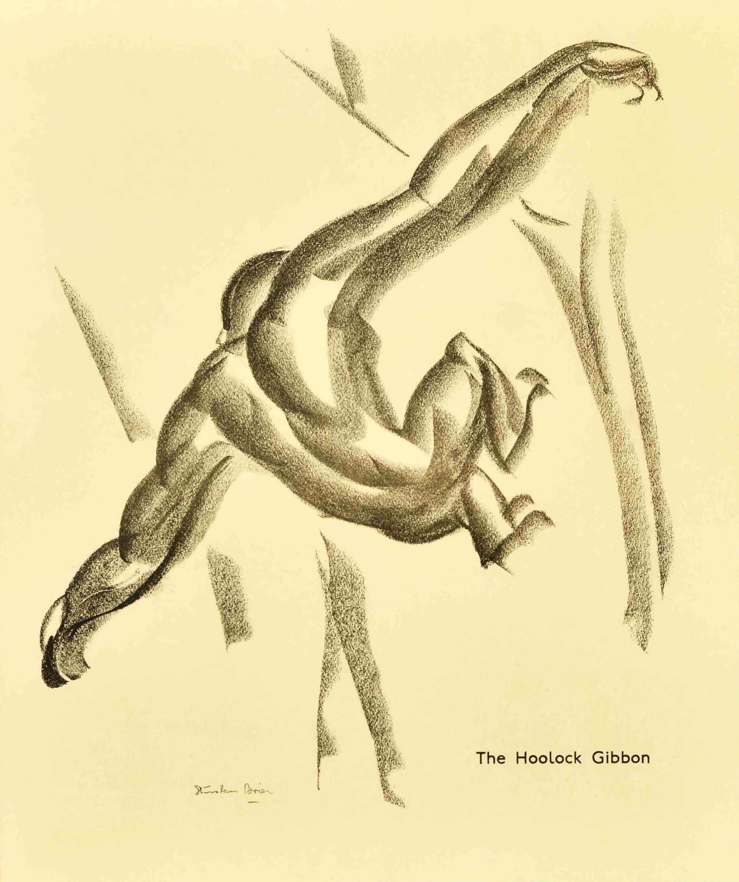 Original Vintage-Plakat für den Londoner Zoo mit einer großartigen Kohlezeichnung des Hoolock Gibbon, der sich durch die Bäume schwingt, von dem polnischen Künstler G. Stanislaus Brien (der 1935 Plakate für die Londoner Verkehrsbetriebe sowie für