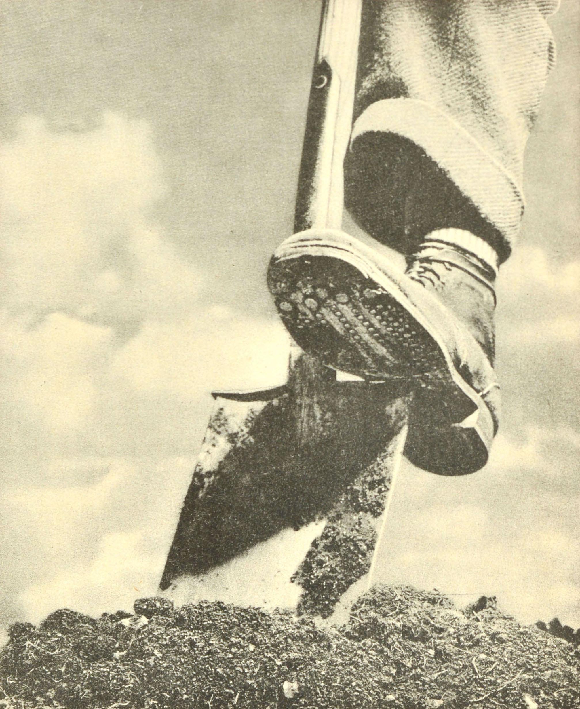 Affiche originale de propagande de la Seconde Guerre mondiale - Dig for Victory - présentant la photographie iconique en noir et blanc d'un ouvrier poussant une pelle avec sa botte, creusant la terre sur un fond de ciel, le titre au-dessus sur la