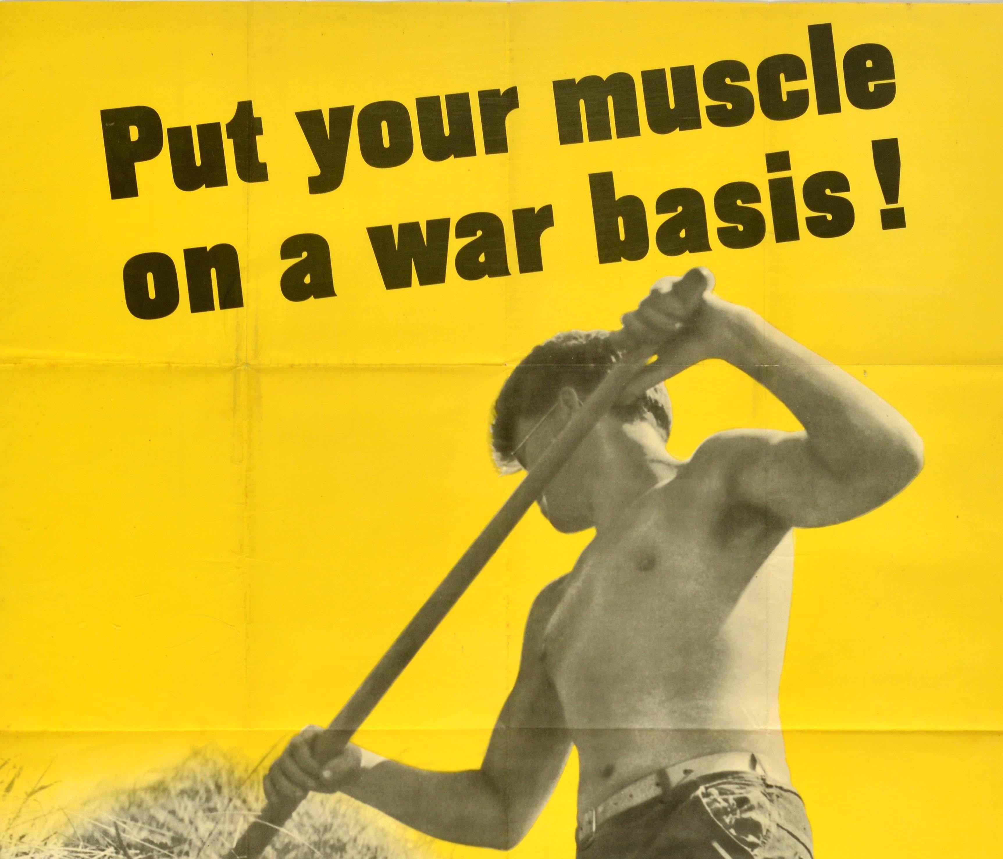 Original vintage World War Two home front propaganda poster - Put your muscle on a war basis! Sign up for a farm job - featuring a black and white photograph of a young man raking hay against a bright yellow background to show how civilians can