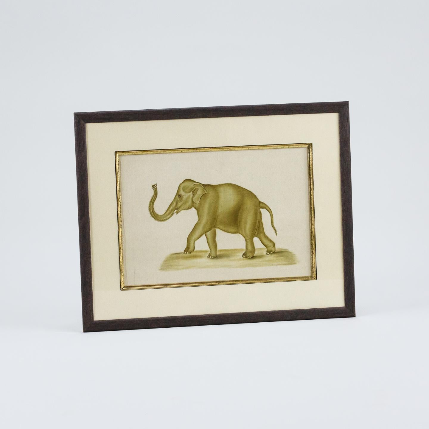 20th Century Watercolour of an Elephant in a wonderful trunk up pose by La Roche Lafitte (signed) Circa 1965. France.