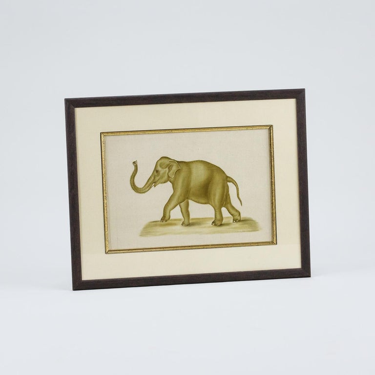 Original Watercolour of an Elephant by La Roche Laffitte For Sale at ...