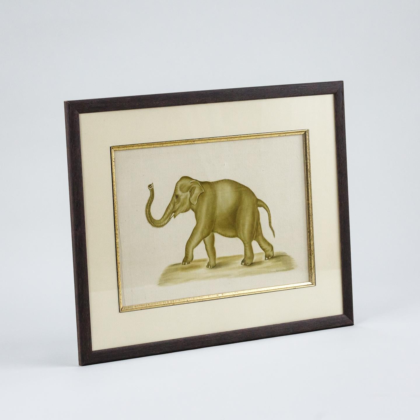 Original Watercolour of an Elephant by La Roche Laffitte In Good Condition For Sale In Pease pottage, West Sussex