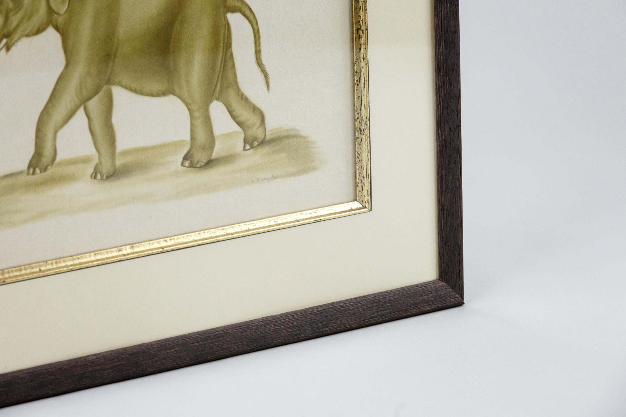 20th Century Original Watercolour of an Elephant by La Roche Laffitte For Sale