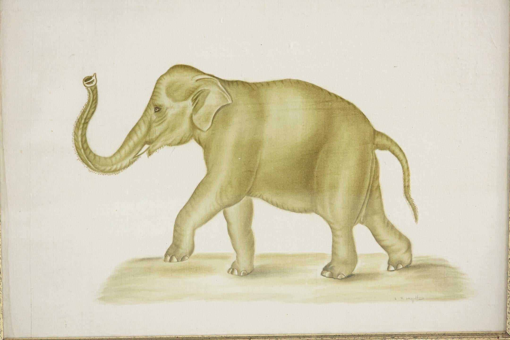 Original Watercolour of an Elephant by La Roche Laffitte For Sale 1