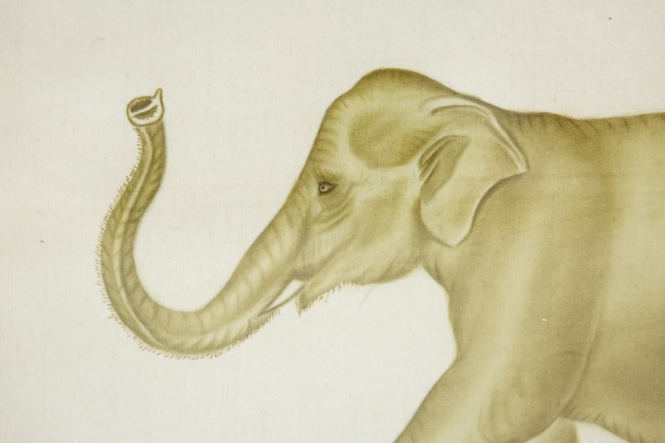 Original Watercolour of an Elephant by La Roche Laffitte For Sale 2
