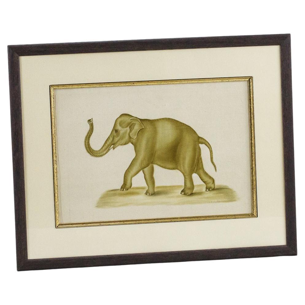 Original-Aquarell eines Elefanten von La Roche Laffitte
