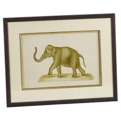 Original Watercolour of an Elephant by La Roche Laffitte