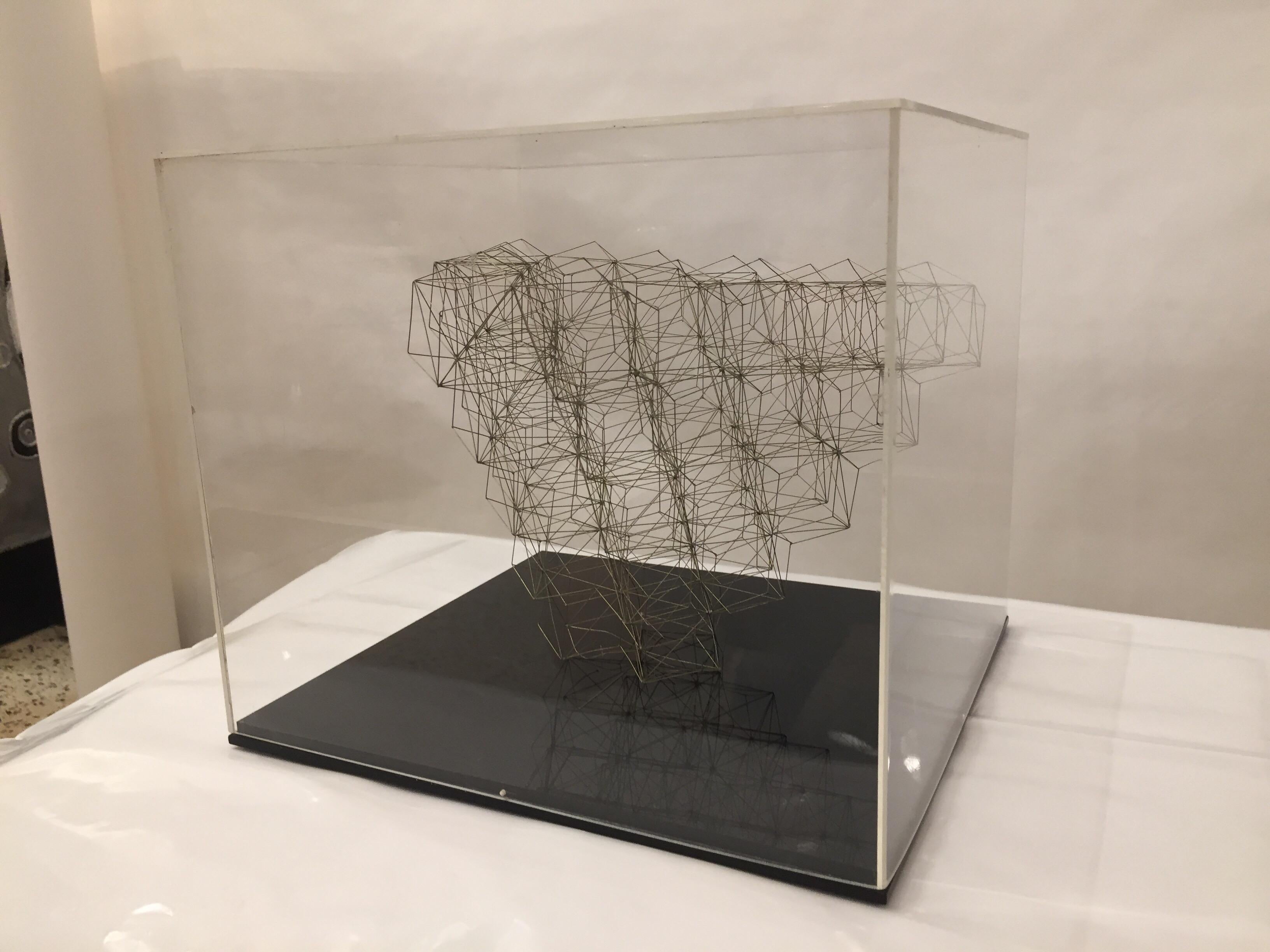 This American artist (Marilyn Gelfman-Karp) created this unique and beautiful wire art in 1970. She was the wife of famed art dealer and Pop Art Pioneer Ivan Karp. This is made of soldered wire sculpture in a plexiglass display box. Signature is 