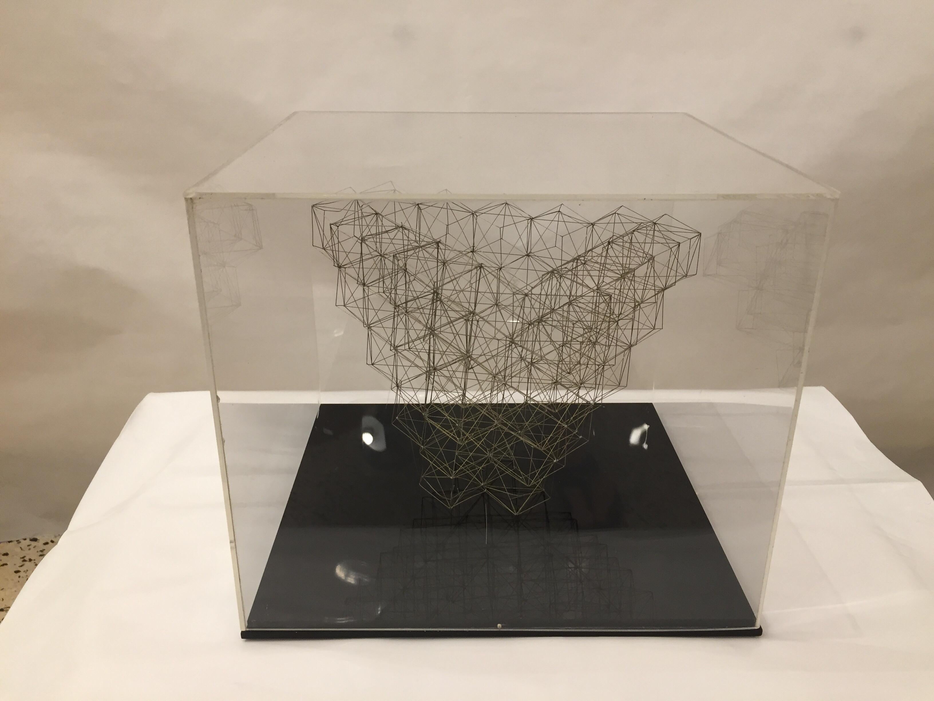 Organique Sculpture originale en fil de fer dans une boîte en plexi par M. Gelfman Pereira en vente