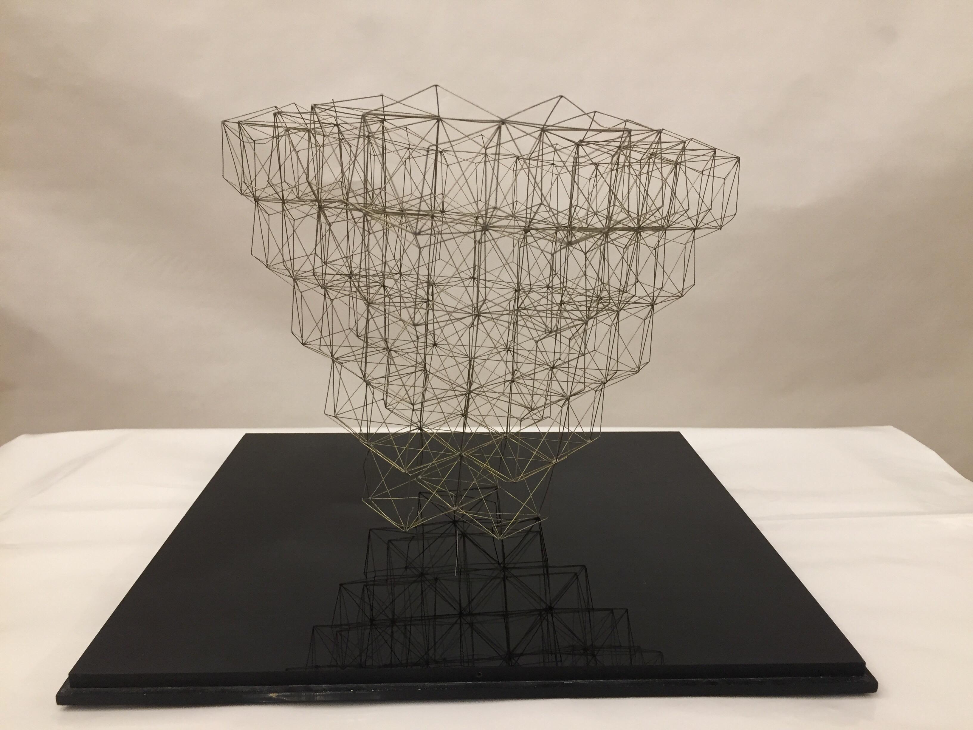 Organic Modern Original Wire Sculpture in Plexi Box by M. Gelfman Pereira For Sale