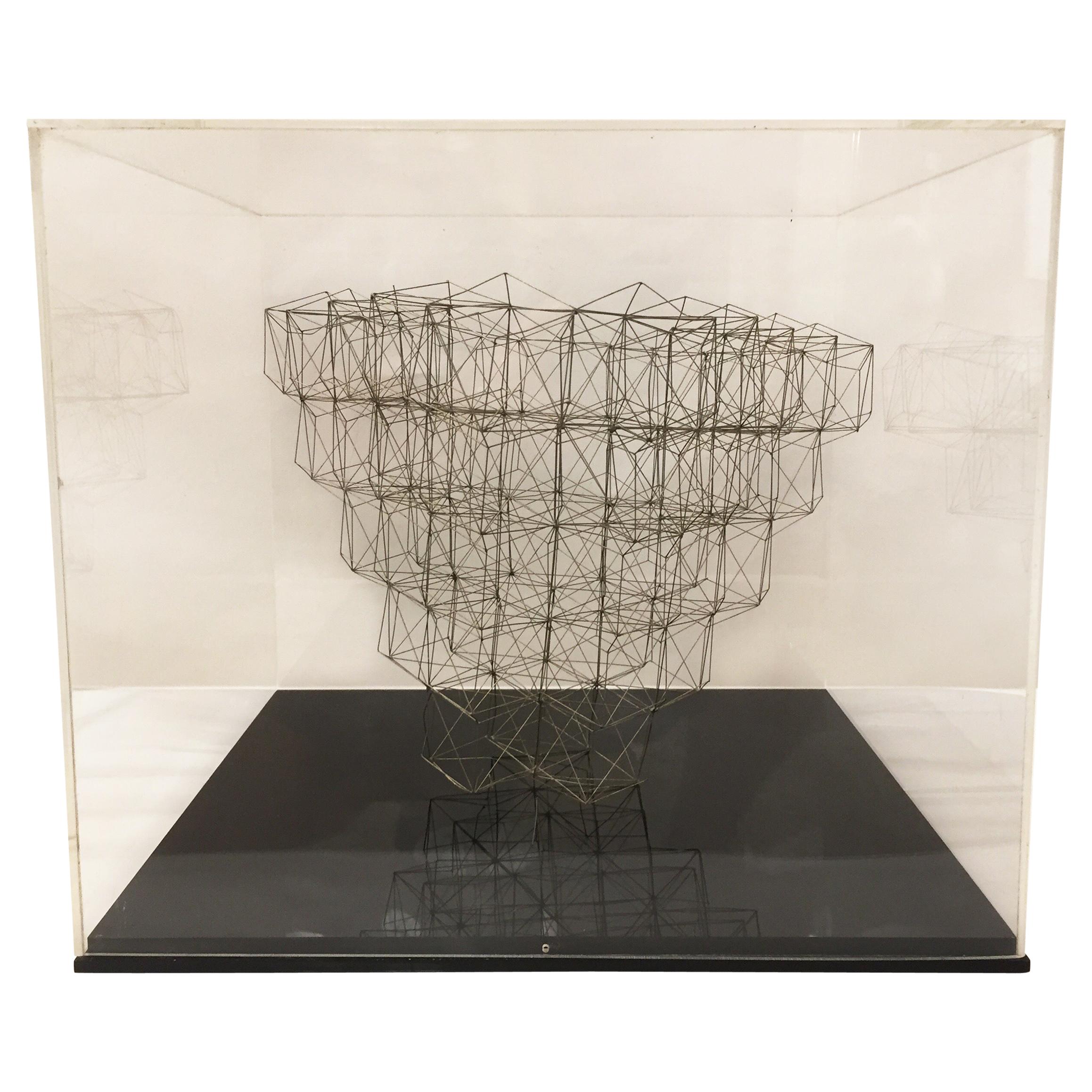 Sculpture originale en fil de fer dans une boîte en plexi par M. Gelfman Pereira