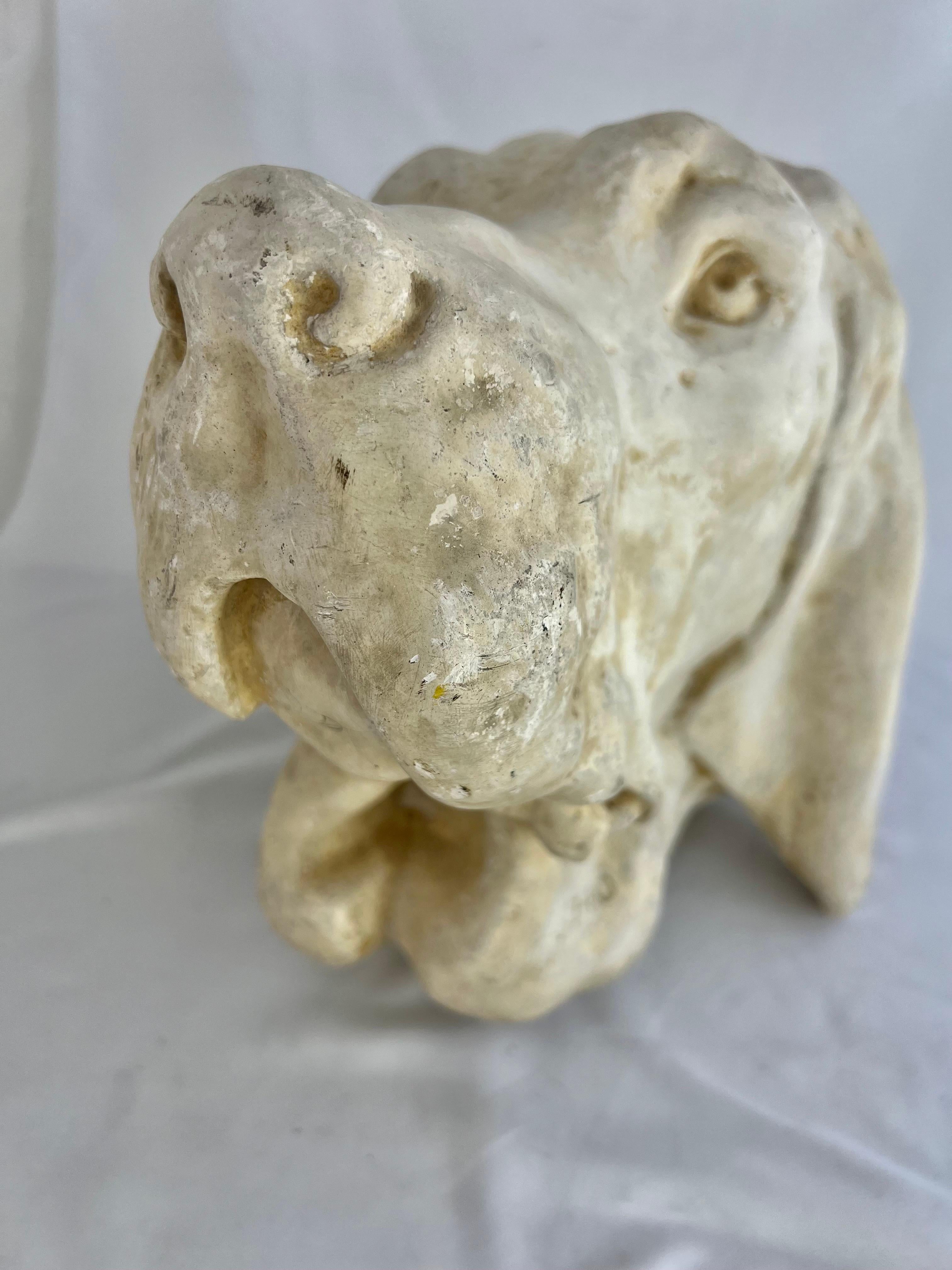 Plaster Oringinal Casting of a Pointer, Early 1900s by P.P. Caproni Bros of Boston