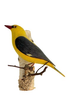 Oriole Large Viechtauer Hand Carved Wood Bird, Black Forest Folk Art, Austria