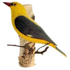Oriole Large Viechtauer Hand Carved Wood Bird, Black Forest Folk Art, Austria