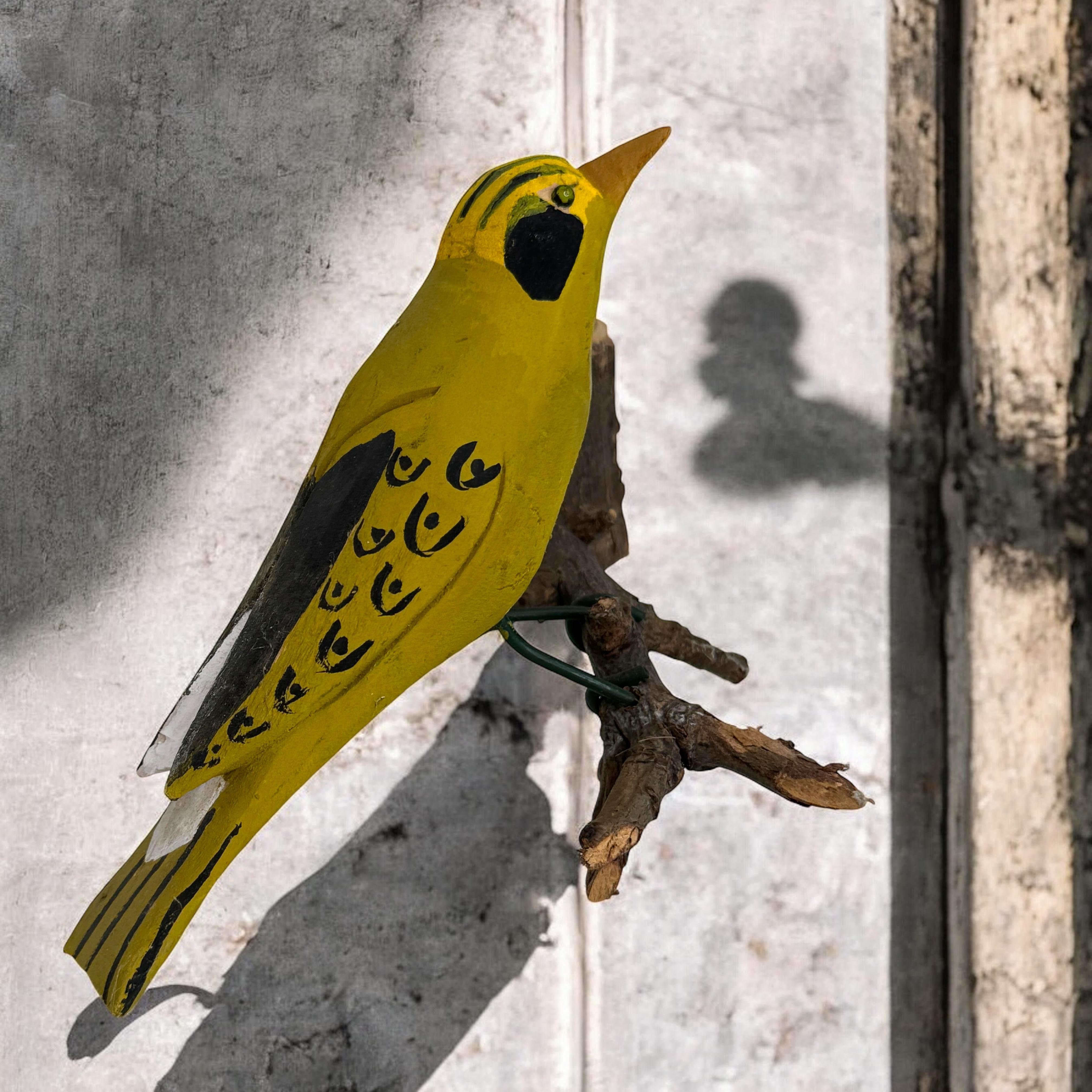 Oriole Vichtauer Pájaro de madera tallada a mano Arte popular de la Selva Negra, Austria, década de 1910 en venta 6