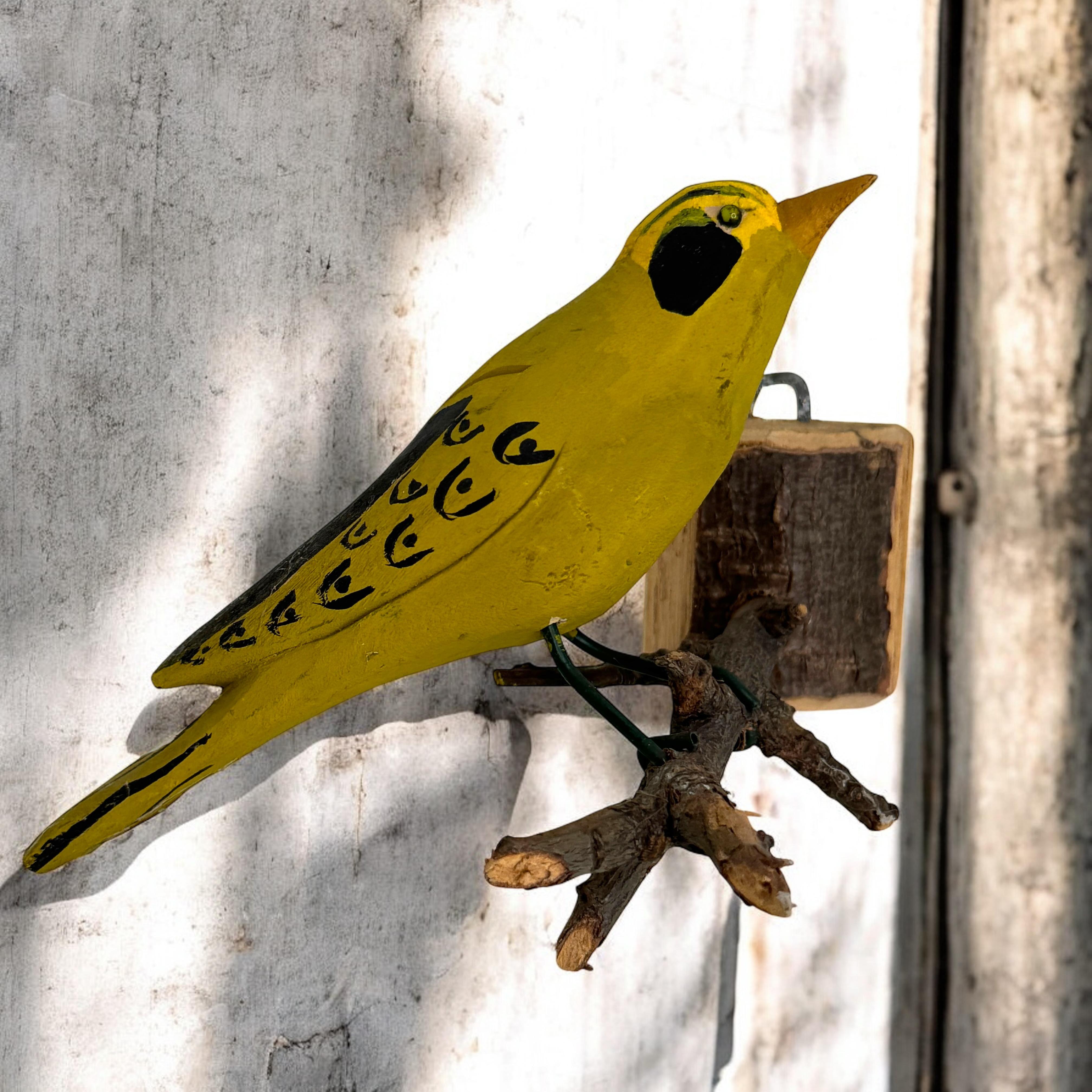 Precioso pájaro austriaco del siglo XX, tallado en madera, montado sobre un soporte para colgar. La tradición de estos pájaros en Austria, llamados 